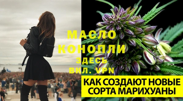 ECSTASY Бронницы