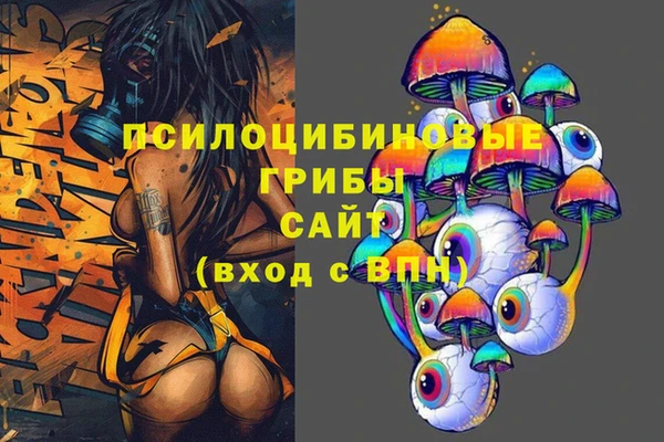 ECSTASY Бронницы